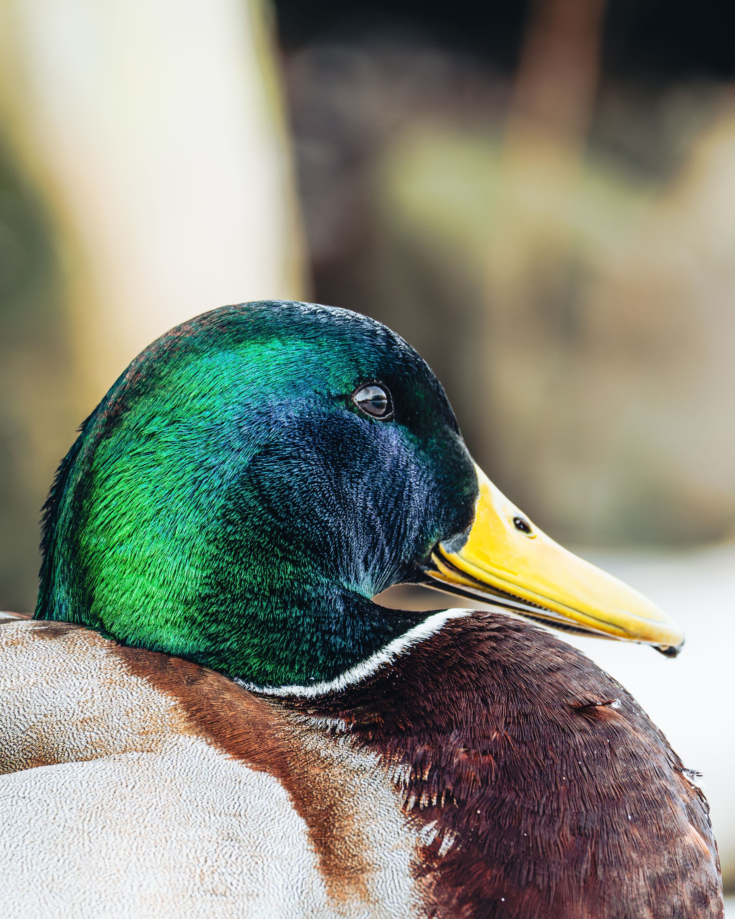 Content Creation - Nikon Europe